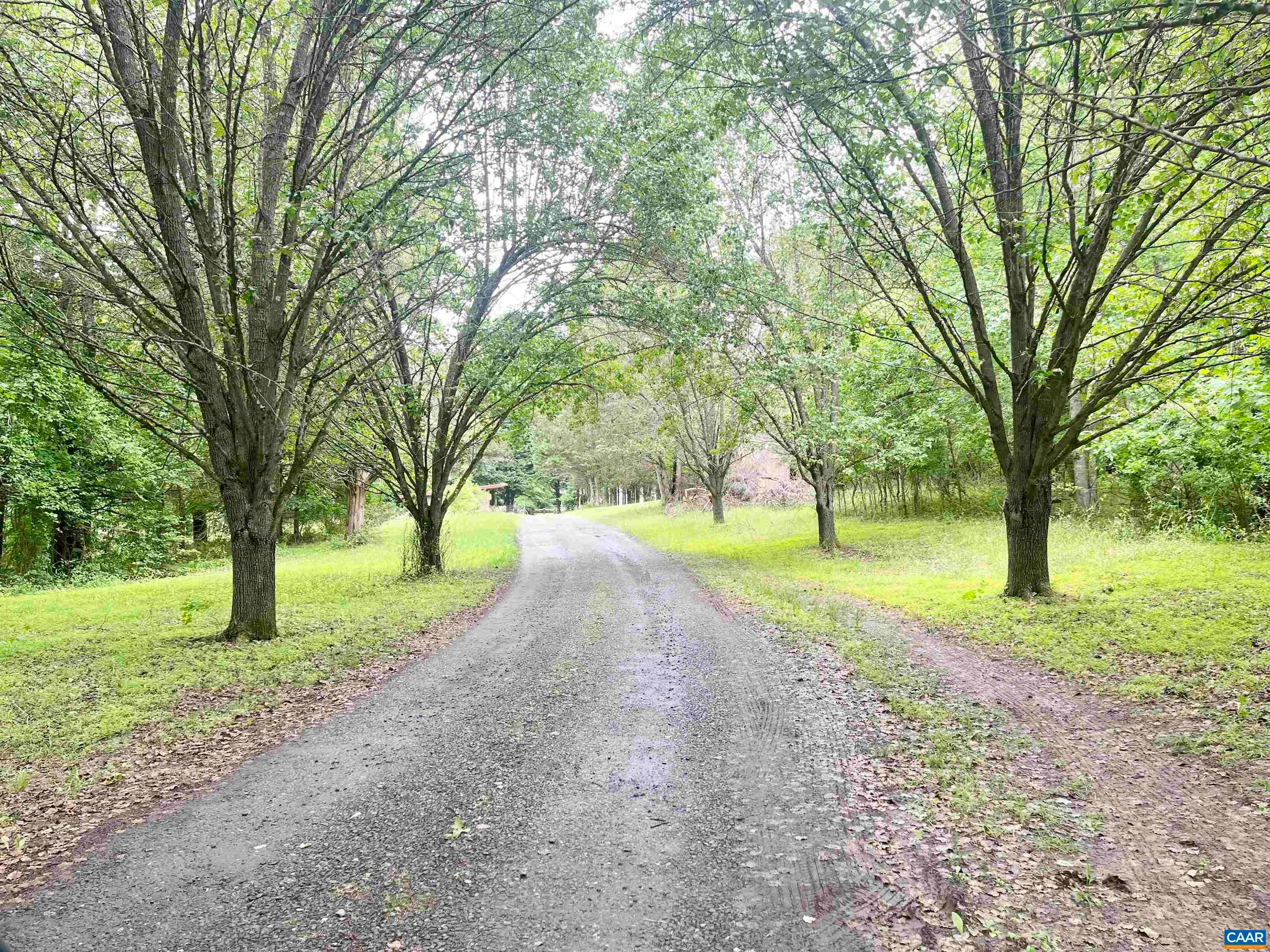 5878A Buffalo River Rd