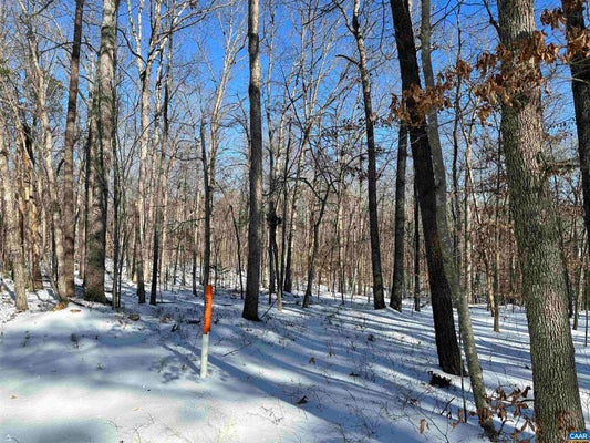 BEAVERDAM RD, KESWICK, VA 22947 - Image 23e5d2ded6095d55b2bef79a5d04b481/820688920
