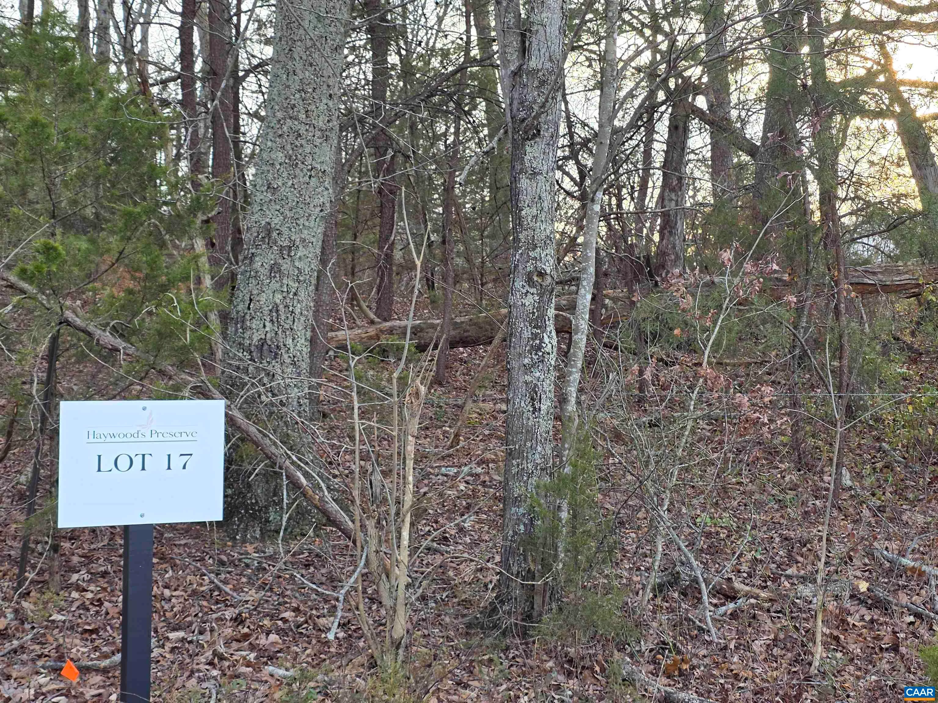 lot 17 Pea Ridge Rd