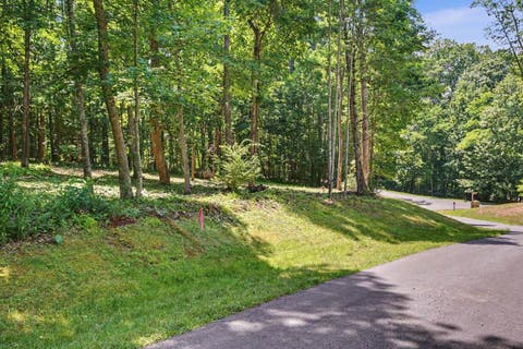 Photo for Lot 50 DONALD ROSS TRL