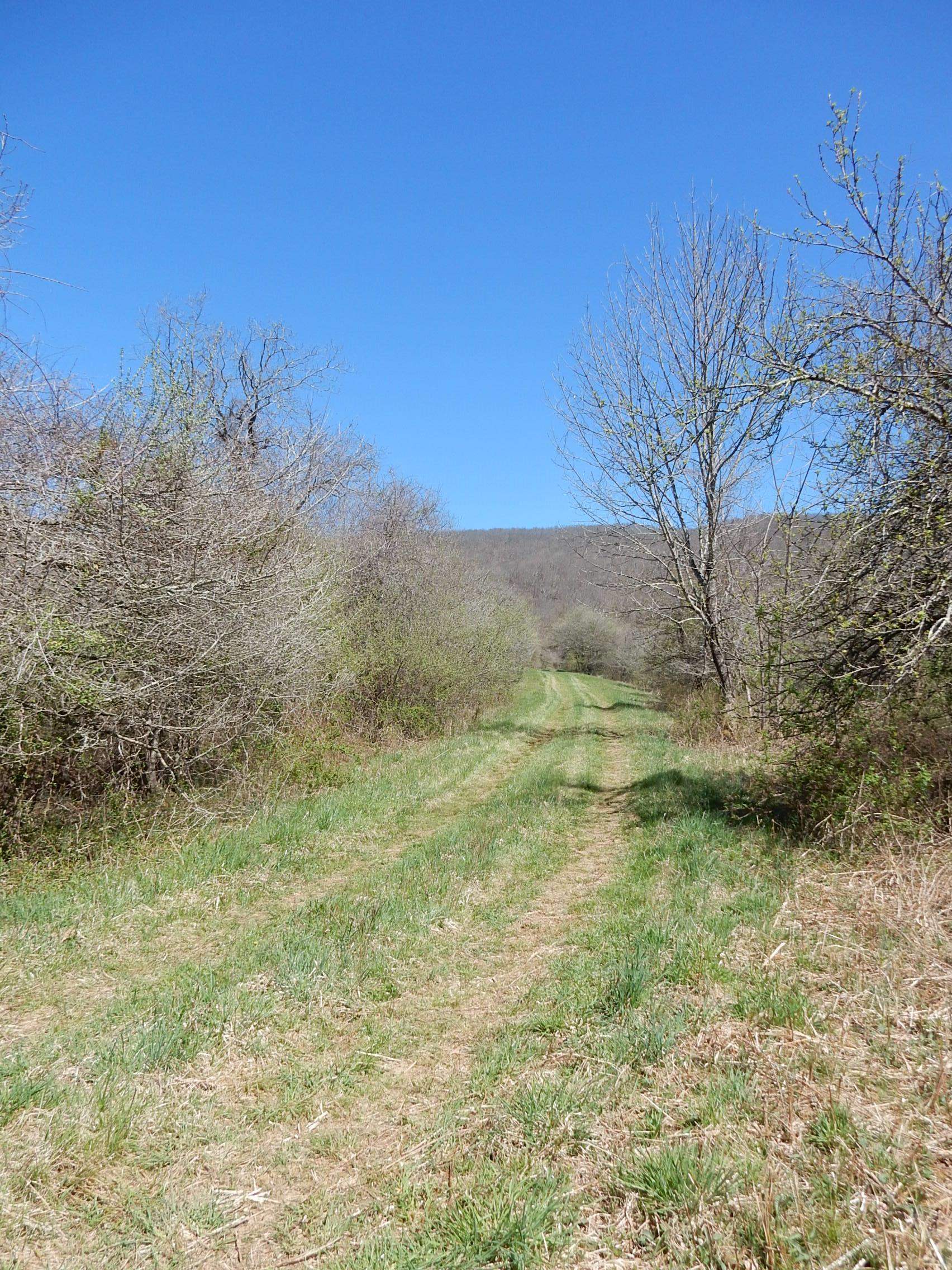 tbd SAM SNEAD HWY