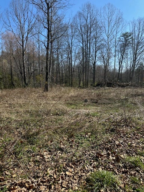 Photo for TBD 0 CRIMORA MINE RD