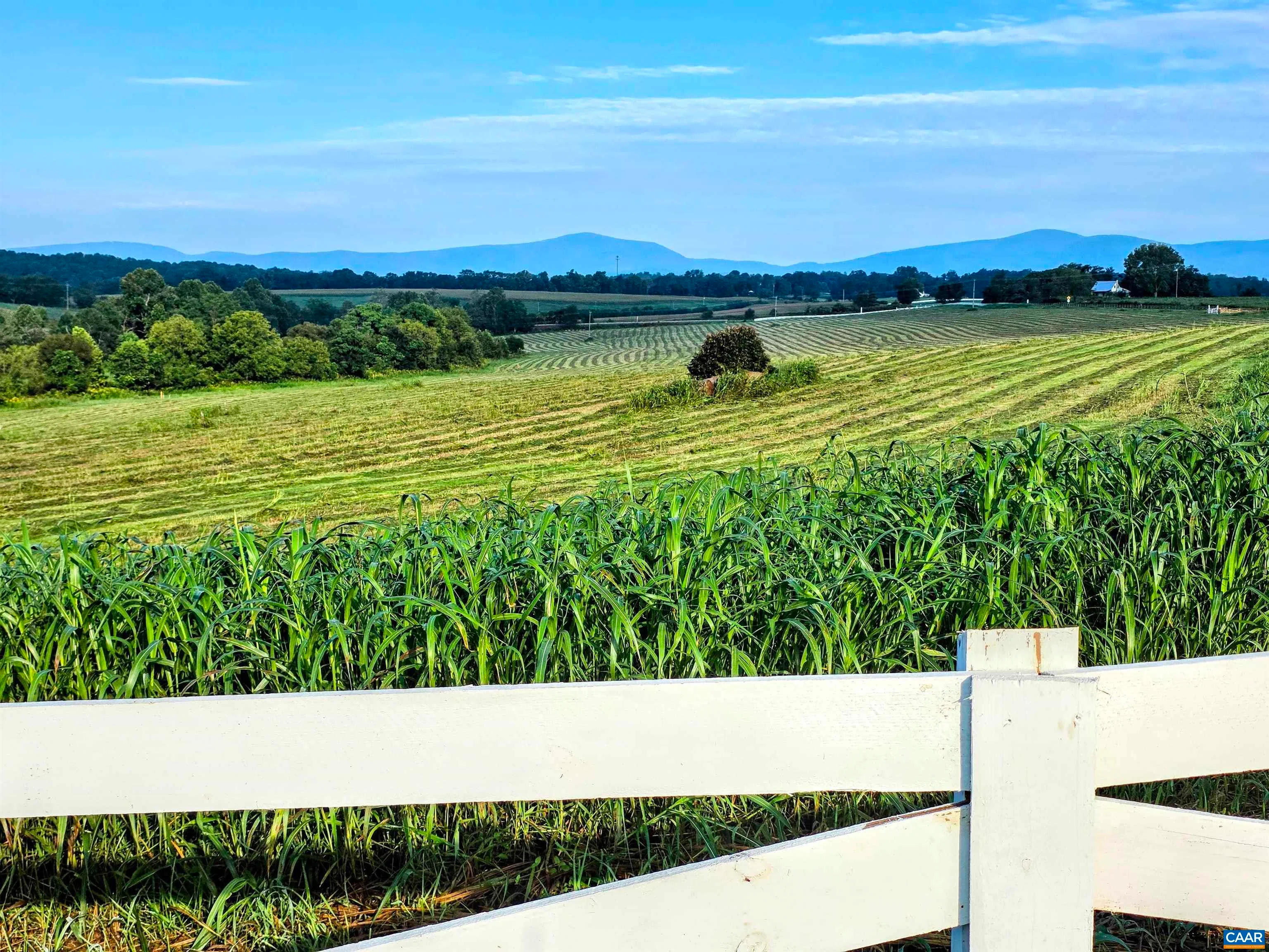 Lot 15 Fredericksburg Rd, Ruckersville, VA, 22968