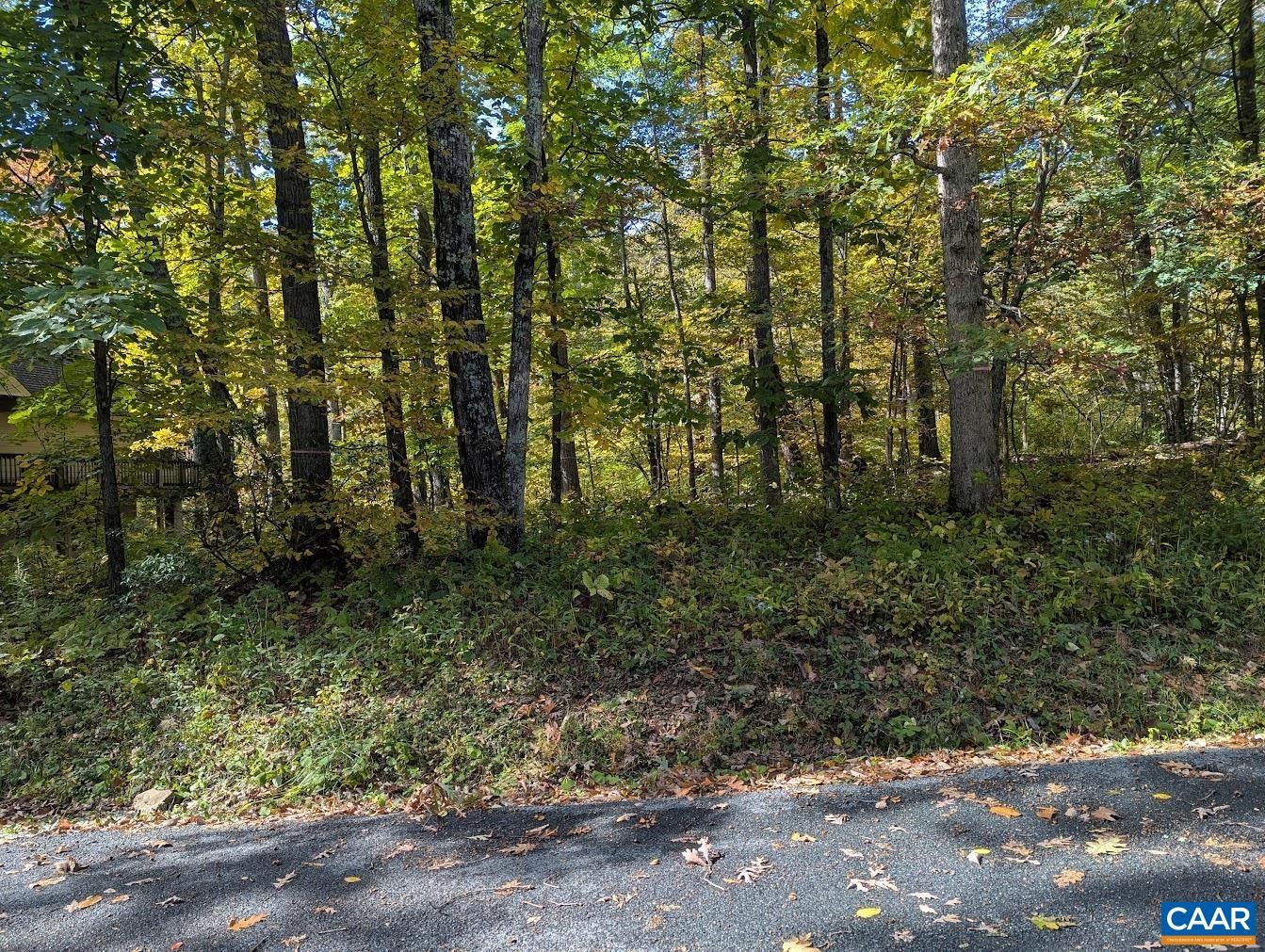 141 GUMTREE DR