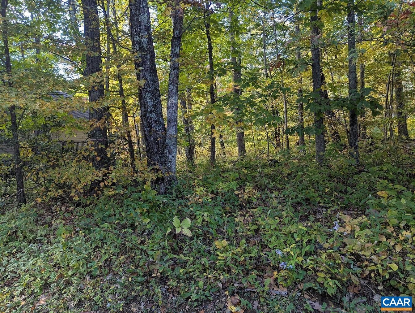 141 GUMTREE DR
