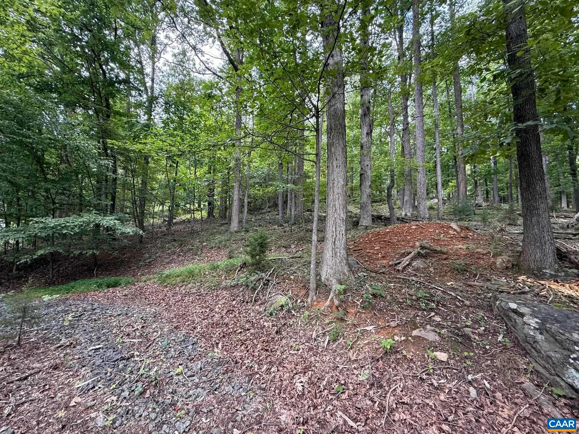 1283 Rodes Valley Dr