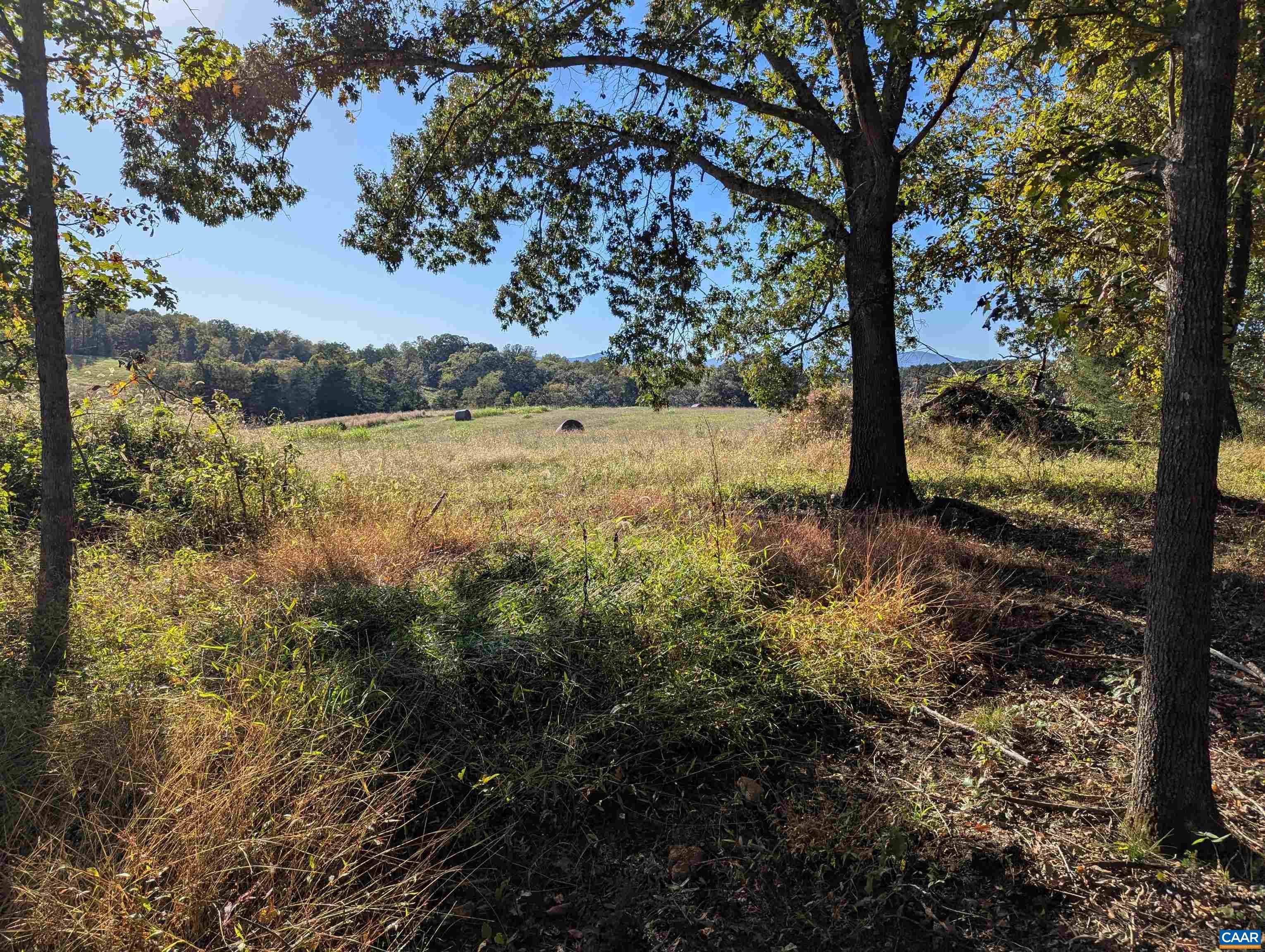 Lot 1 ADVANCE MILLS RD