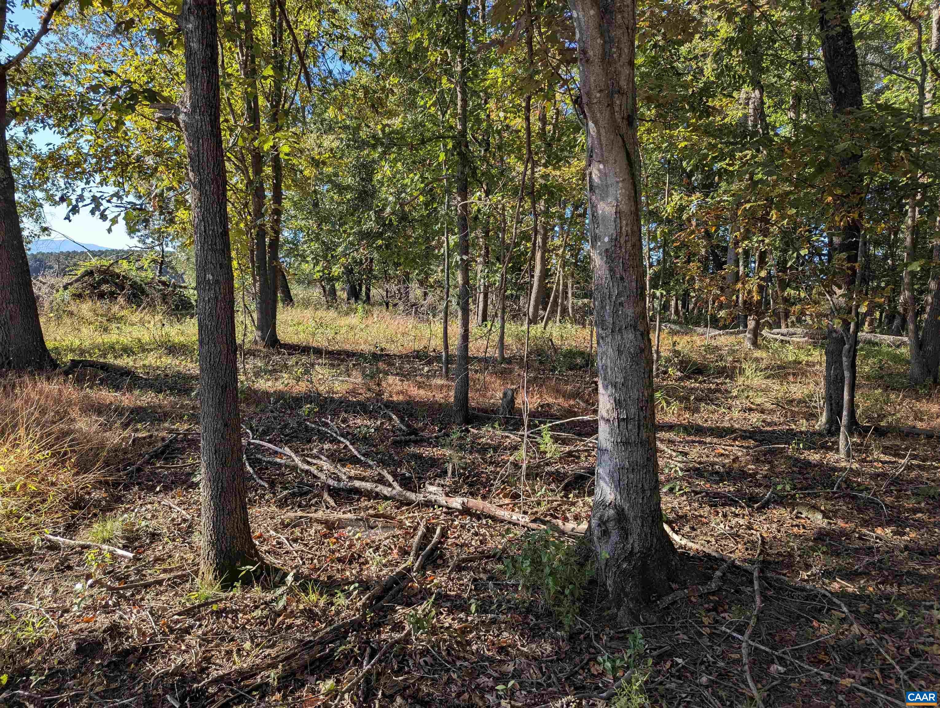 Lot 1 ADVANCE MILLS RD