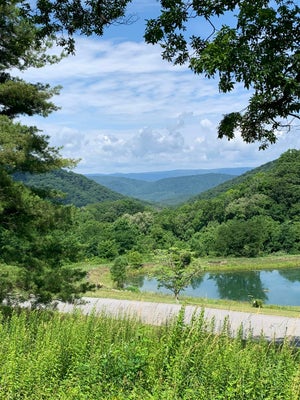 SHEEP MEADOW RD, HOT SPRINGS, VA 24445 - Image 5a08e8d7439ff9539fa5db6243b4e159/2638754815