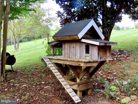 Photo of 180 Five Forks Rd, Woodville, VA (MLS # VARP2002326)