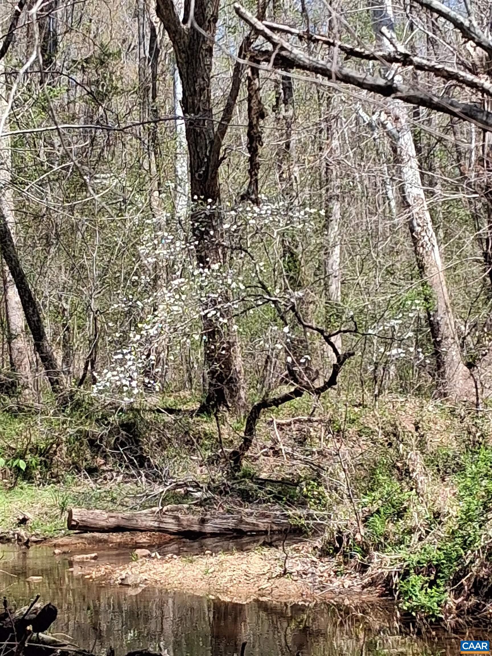 Lot 3 RIDGE RD