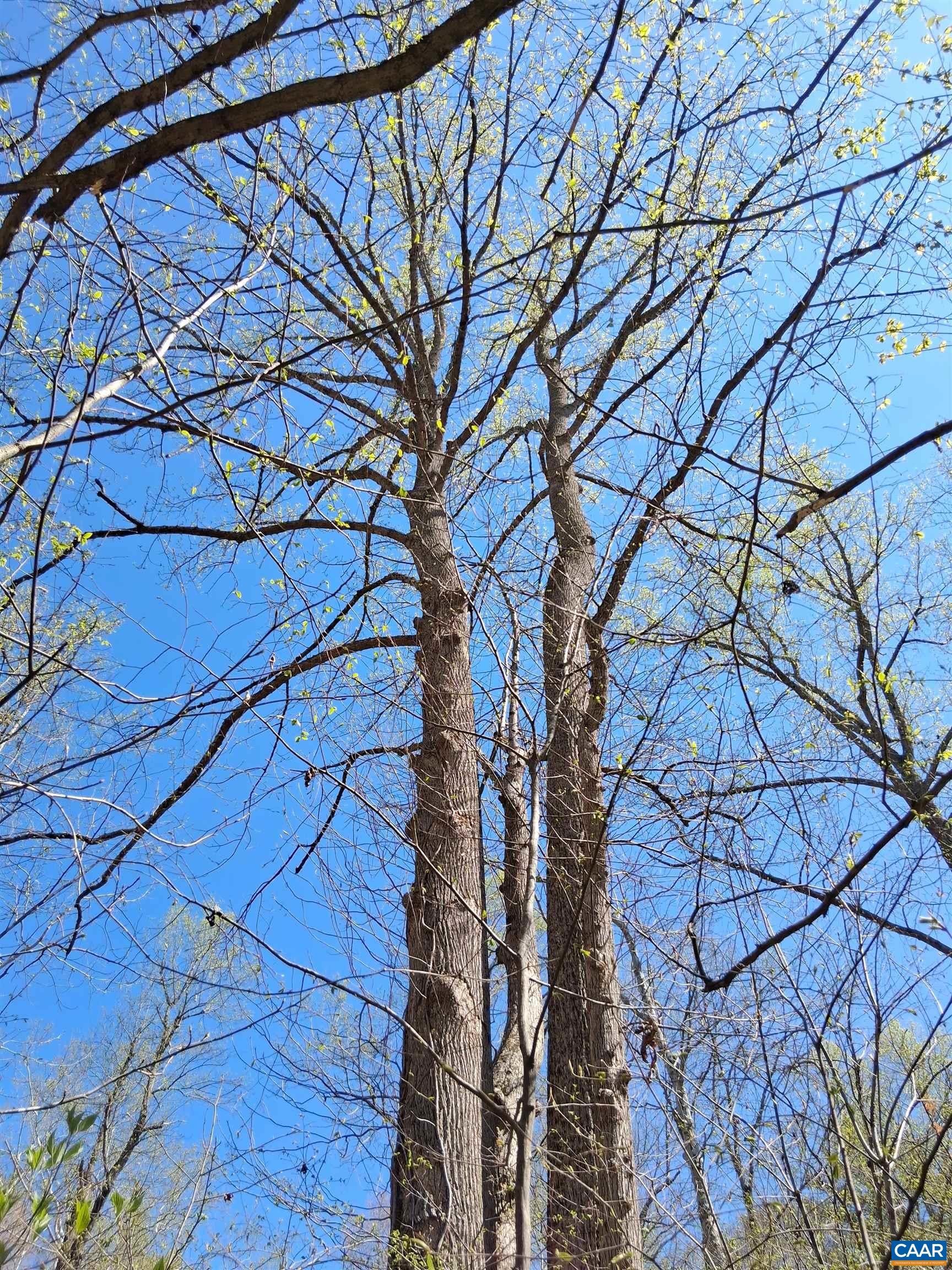 Lot 3 RIDGE RD
