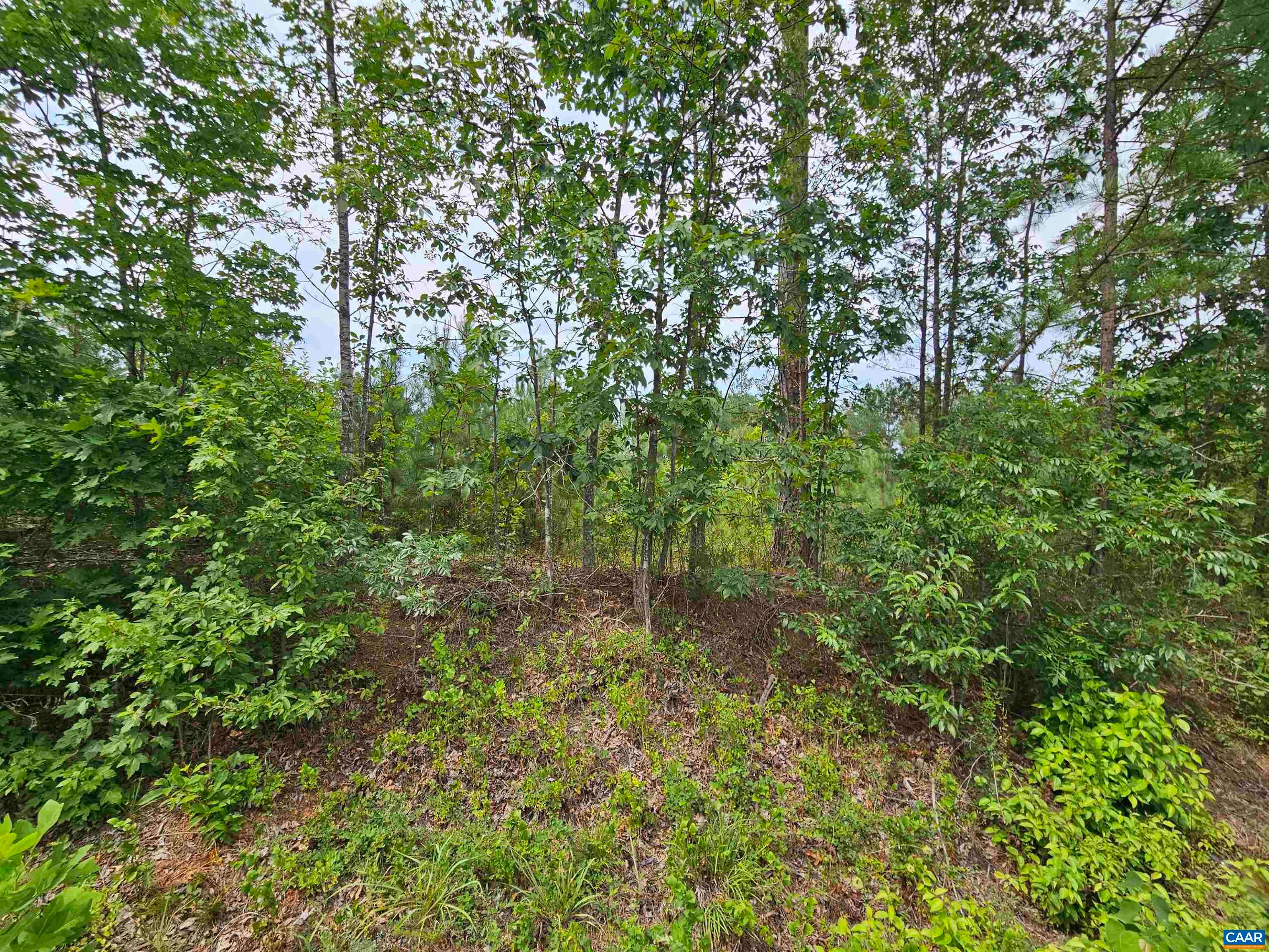 2.78 Ac Penlan Rd, Arvonia, VA, 23004