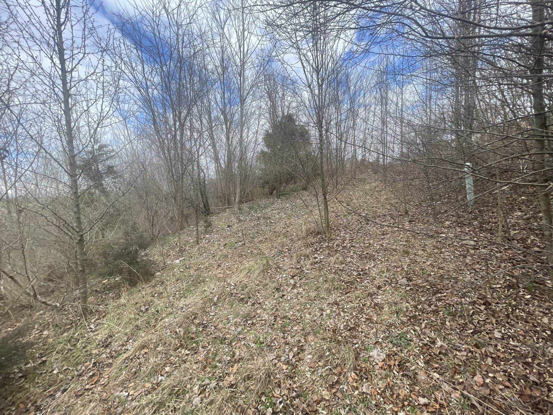 0 LONG MEADOW RD