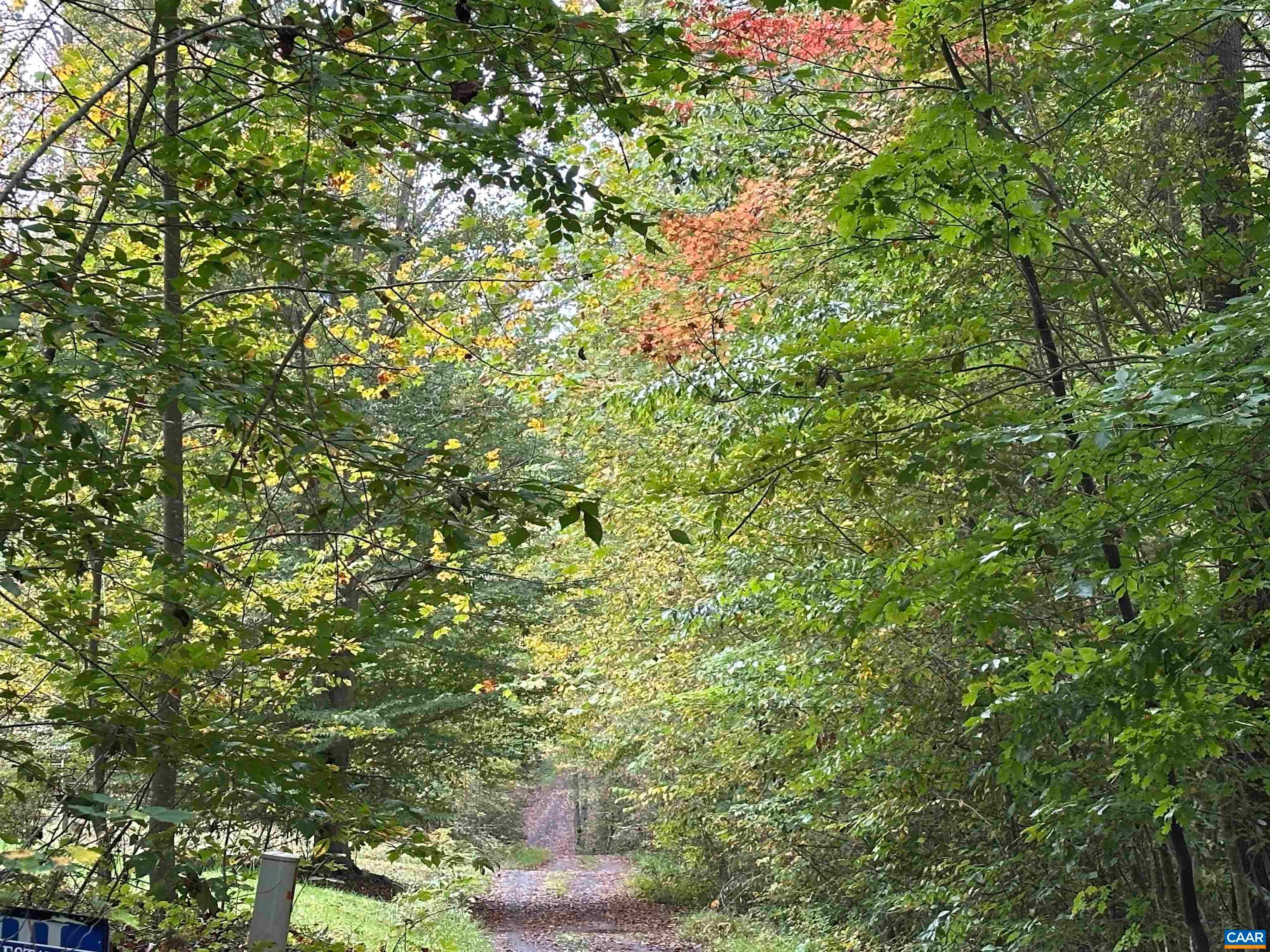 lot 2 FREDERICKSBURG RD