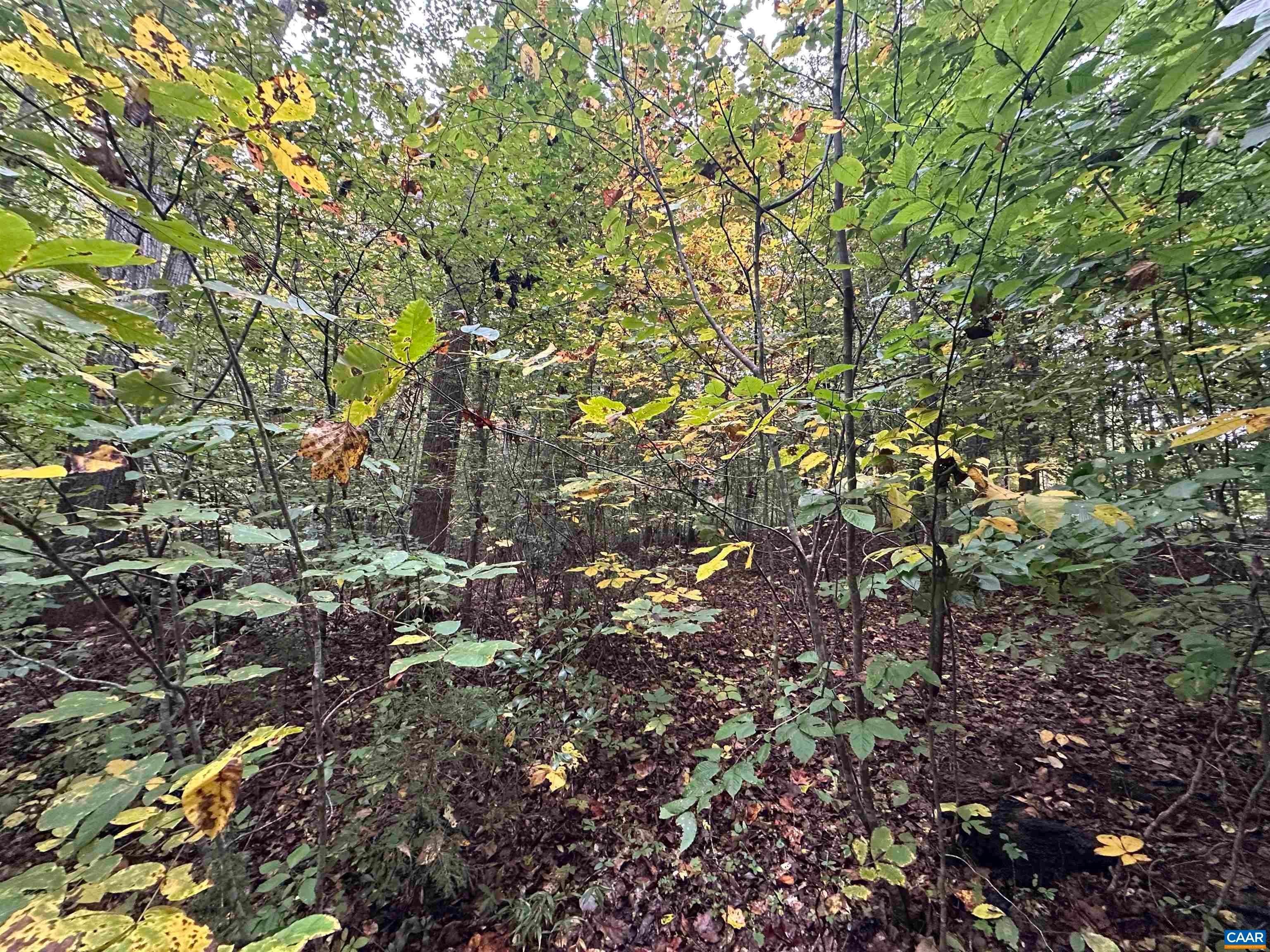 lot 2 FREDERICKSBURG RD