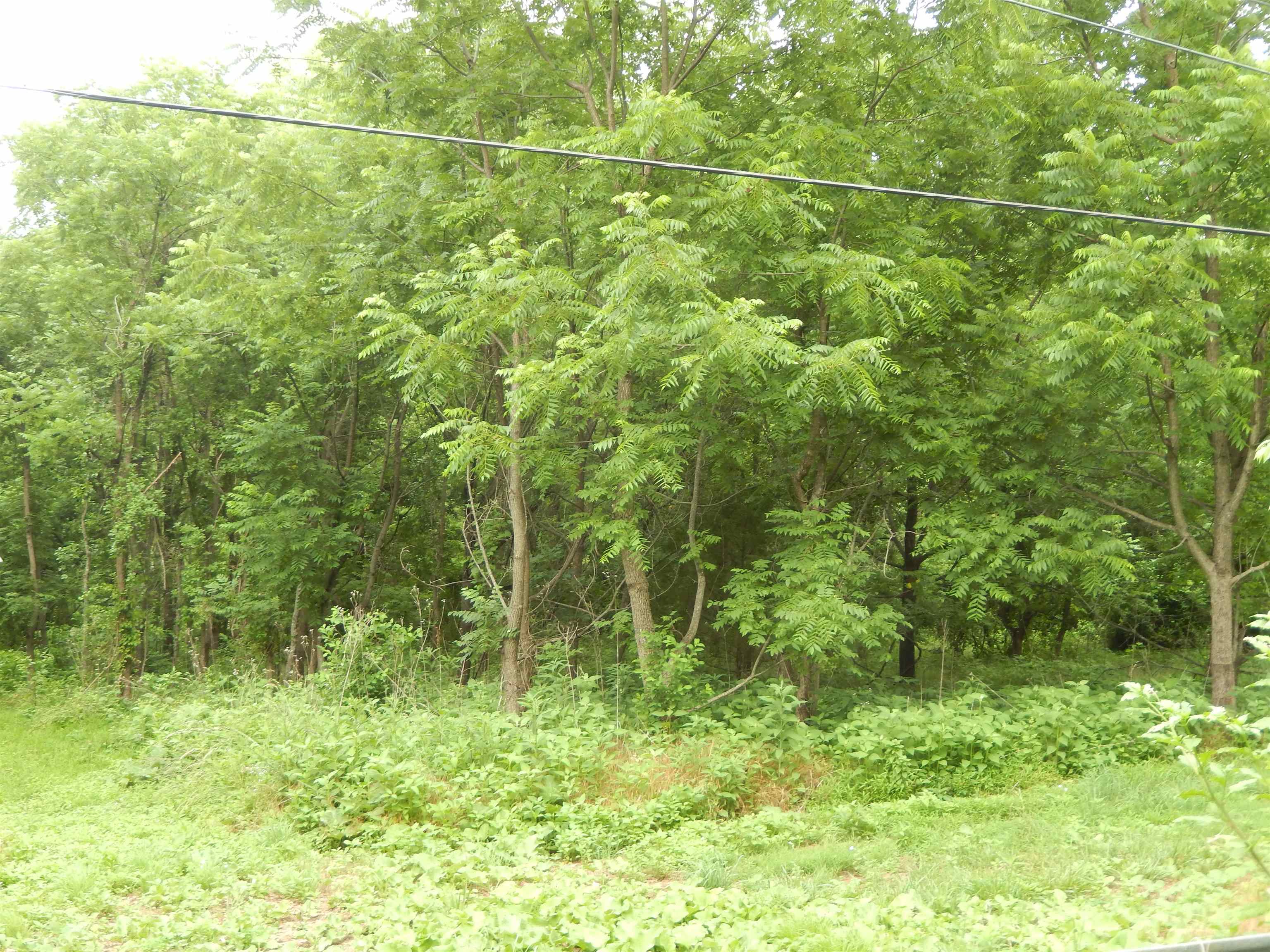898 Sandy Bottom Rd, Elkton, VA, 22827