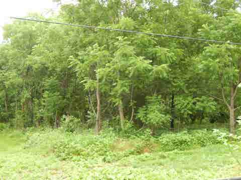 Photo for 898 SANDY BOTTOM RD