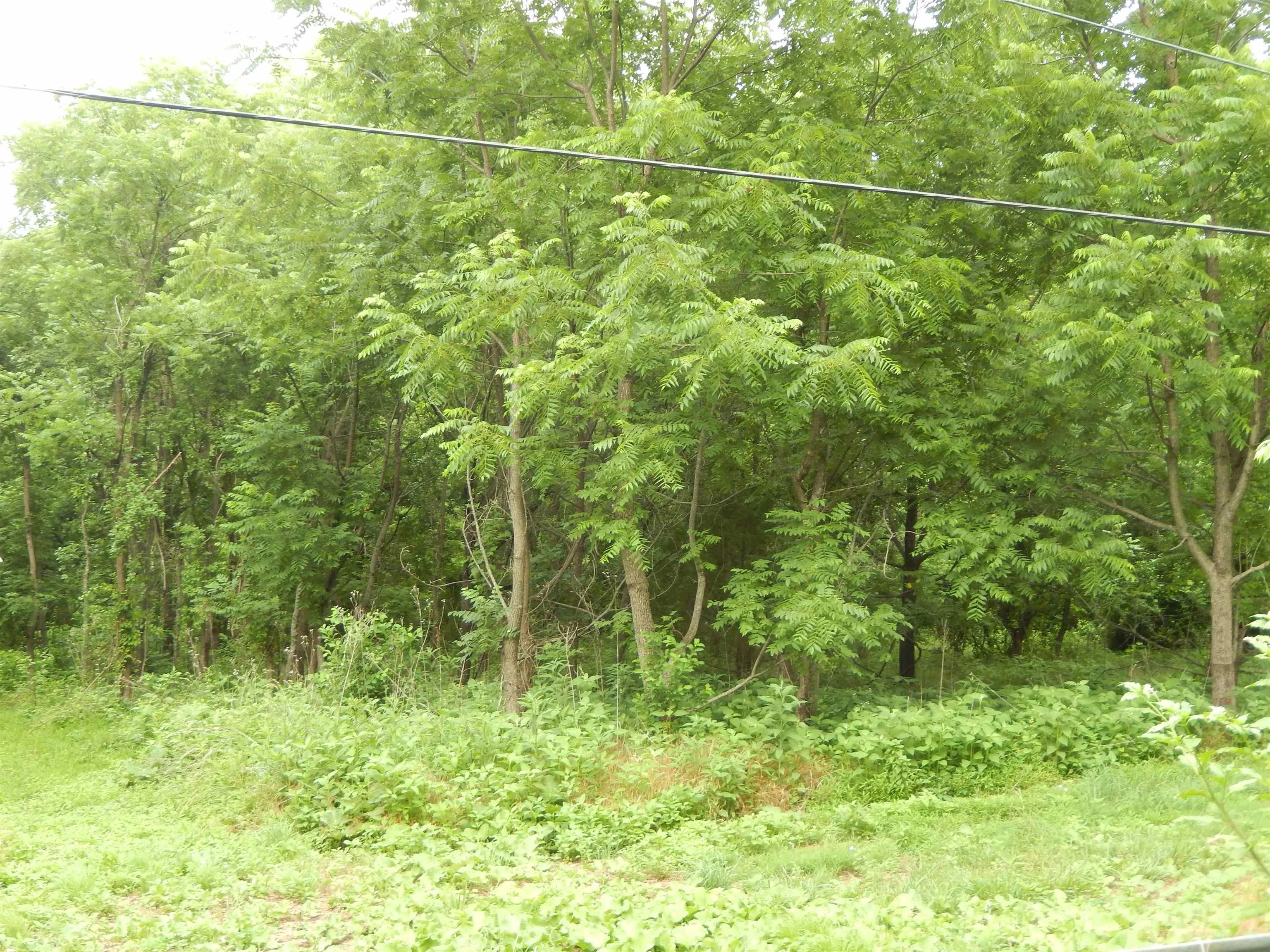 898 Sandy Bottom Rd
