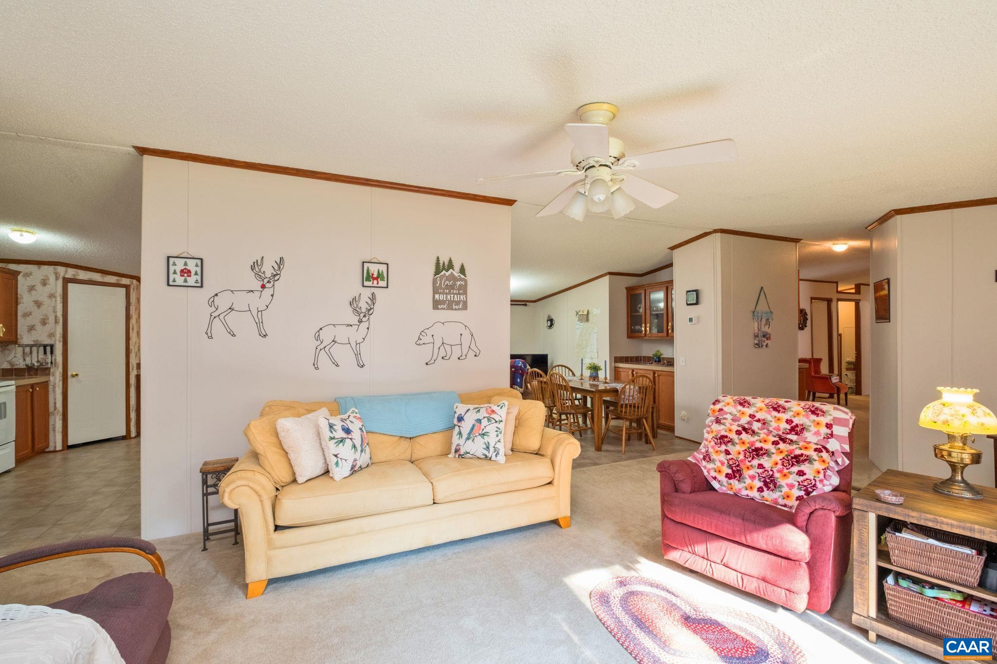 94 DIRE WOLF LN
