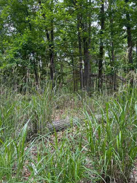 Photo for Lot 52 LAKE DR