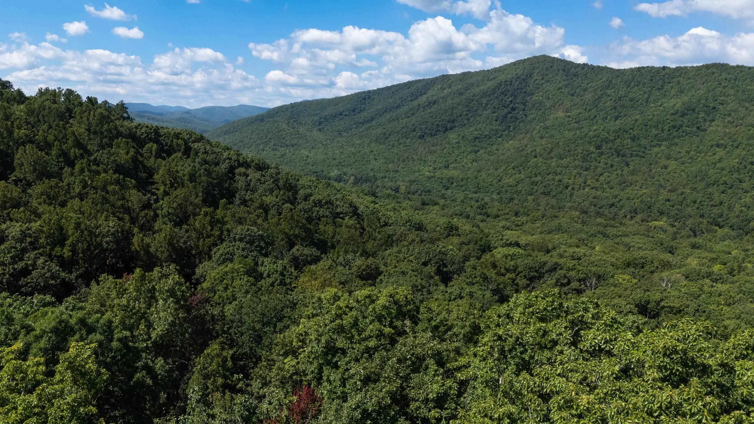180 Bear Path Ln, Lyndhurst, VA, 22952