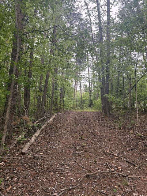 LOT 2 PLUM TREE CIR
