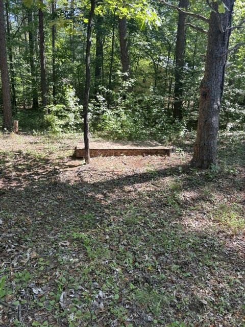 LOT 2 PLUM TREE CIR