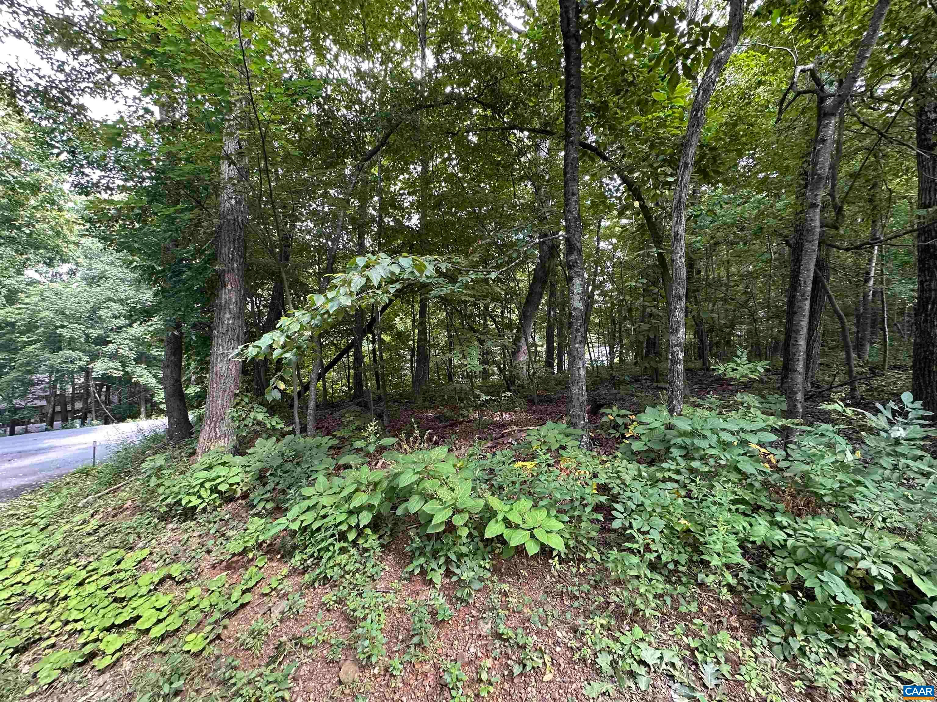 11 Fairway Oaks Ln, Wintergreen Resort, VA, 22967