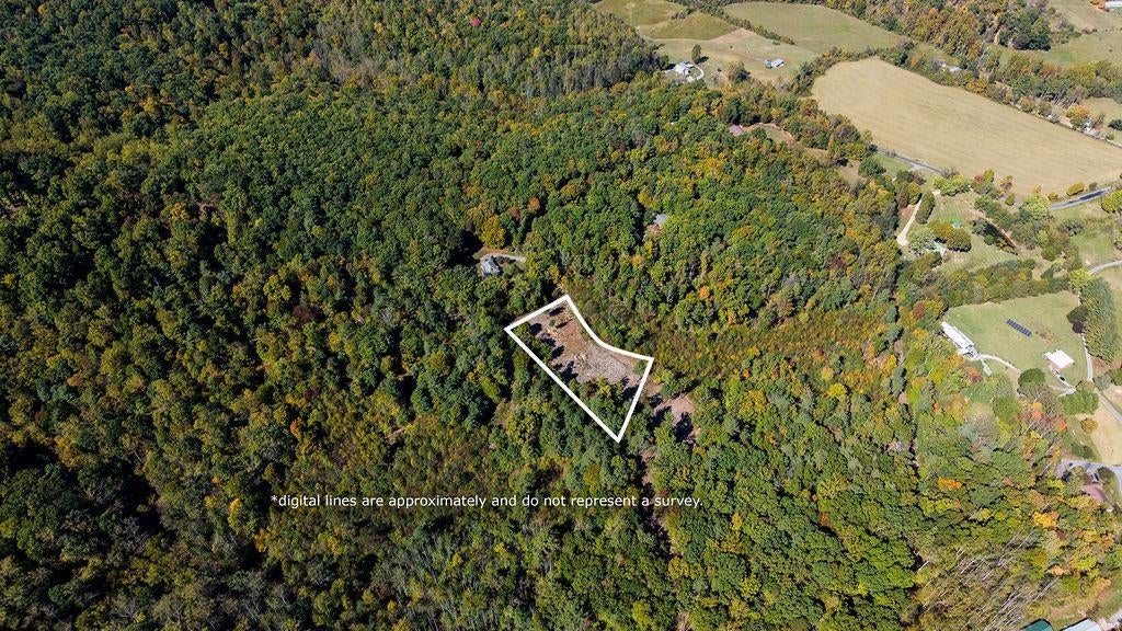 tbd OWL LN