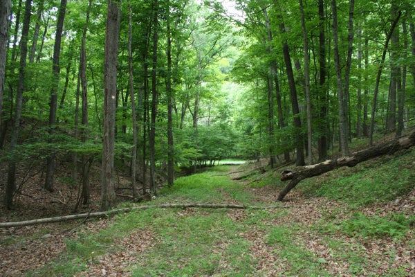 20 HIGH VALLEY DR S, MONTEREY, VA 24465 - Image 808df55d5f6a2497bfee8a2f6280e39b/4157356426
