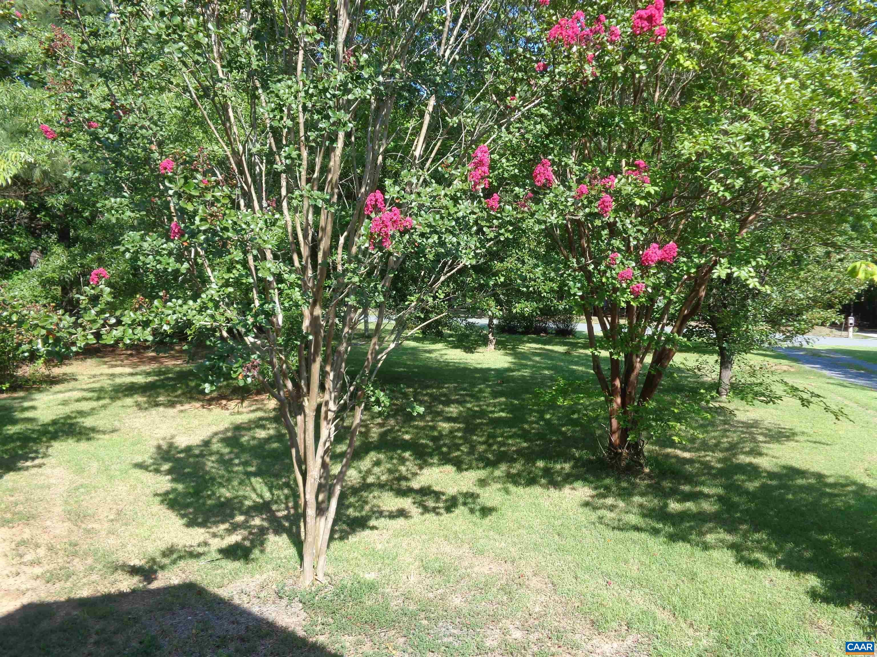17 BOLLING PL
