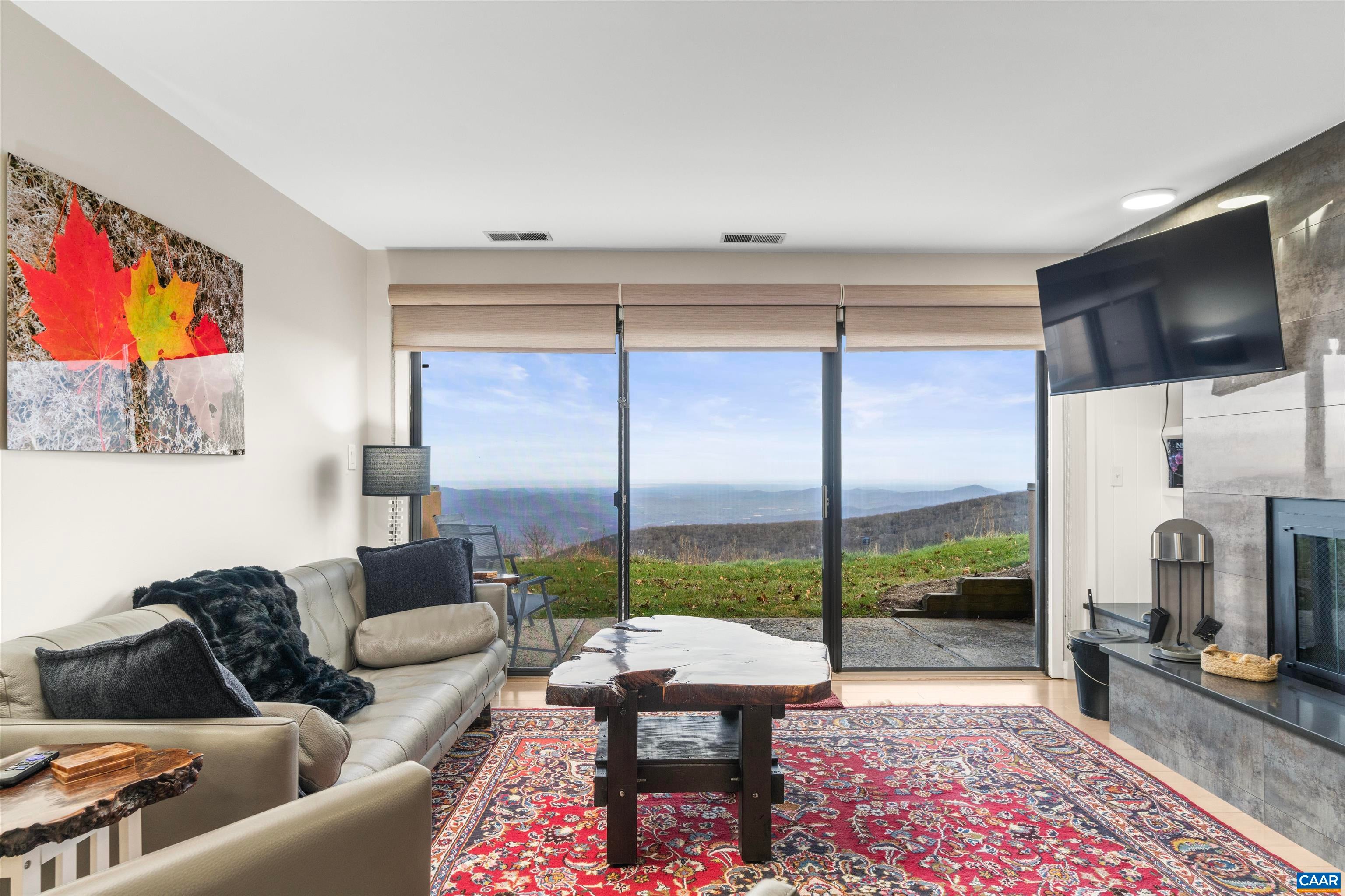 1509 CLIFFS CONDOS
