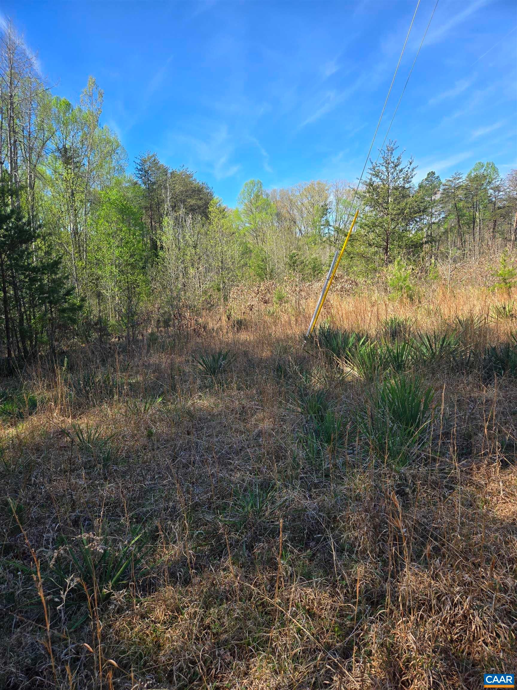 LOTS 9-10 KENTUCKY SPRINGS RD