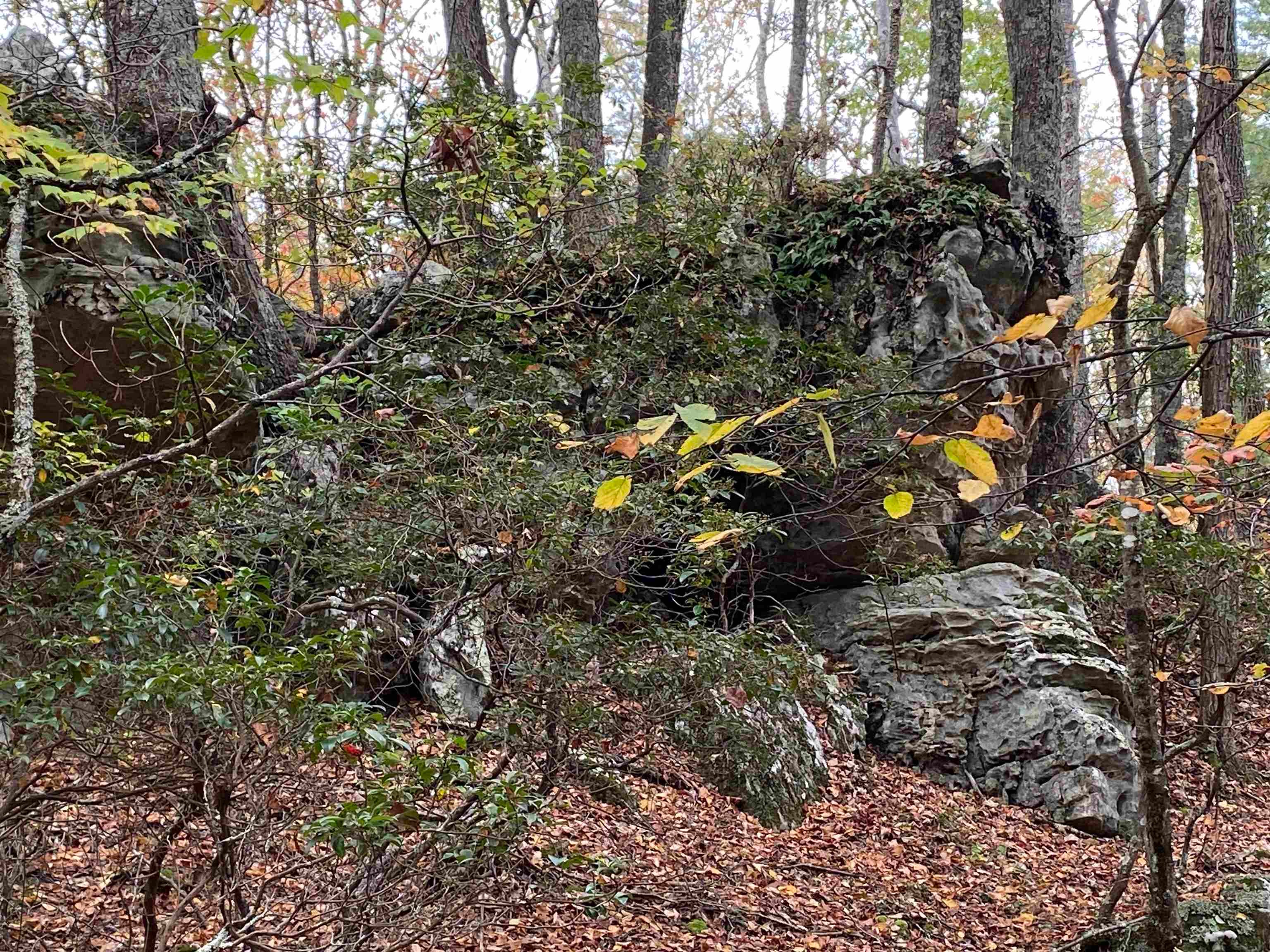 TBD HALTERMAN HOLLOW LN