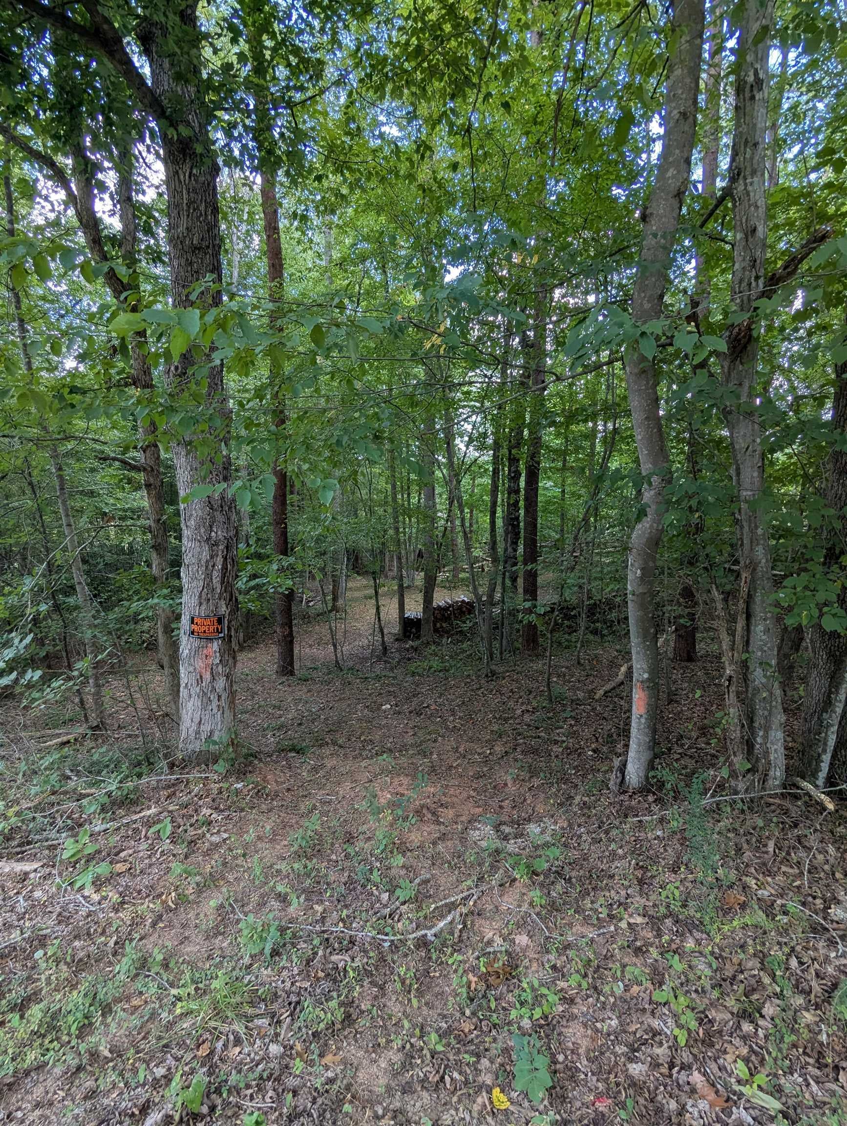 TBD BURTON LAKE RD