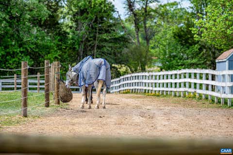 Photo for 12500 SHANNON HILL RD