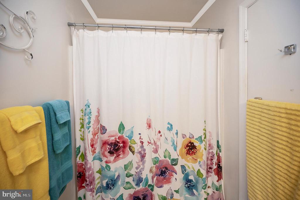 Fredericksburg, Virginia 22407, United States, 3 Bedrooms Bedrooms, ,2 BathroomsBathrooms,Residential,Active,226144