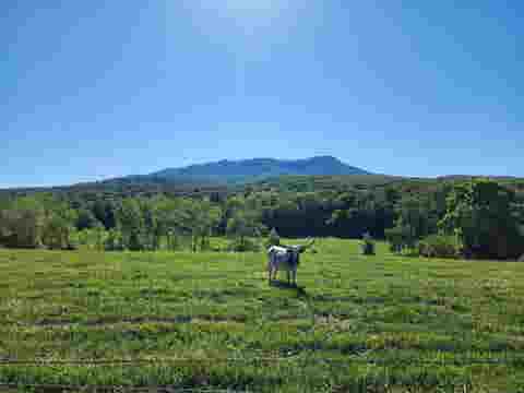 Photo for TBD INDIAN TRAIL RD