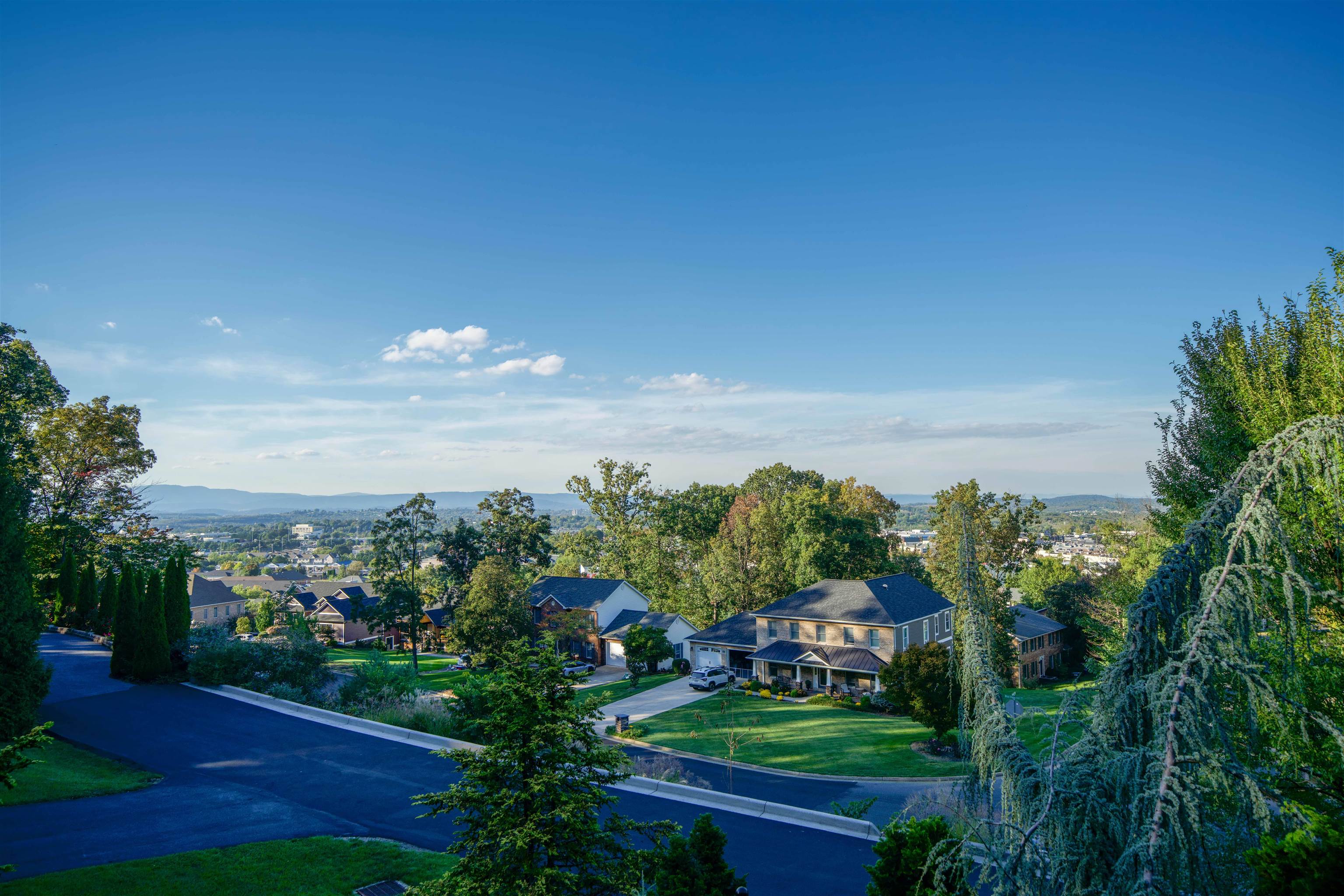 206 BLUE STONE HILLS DR