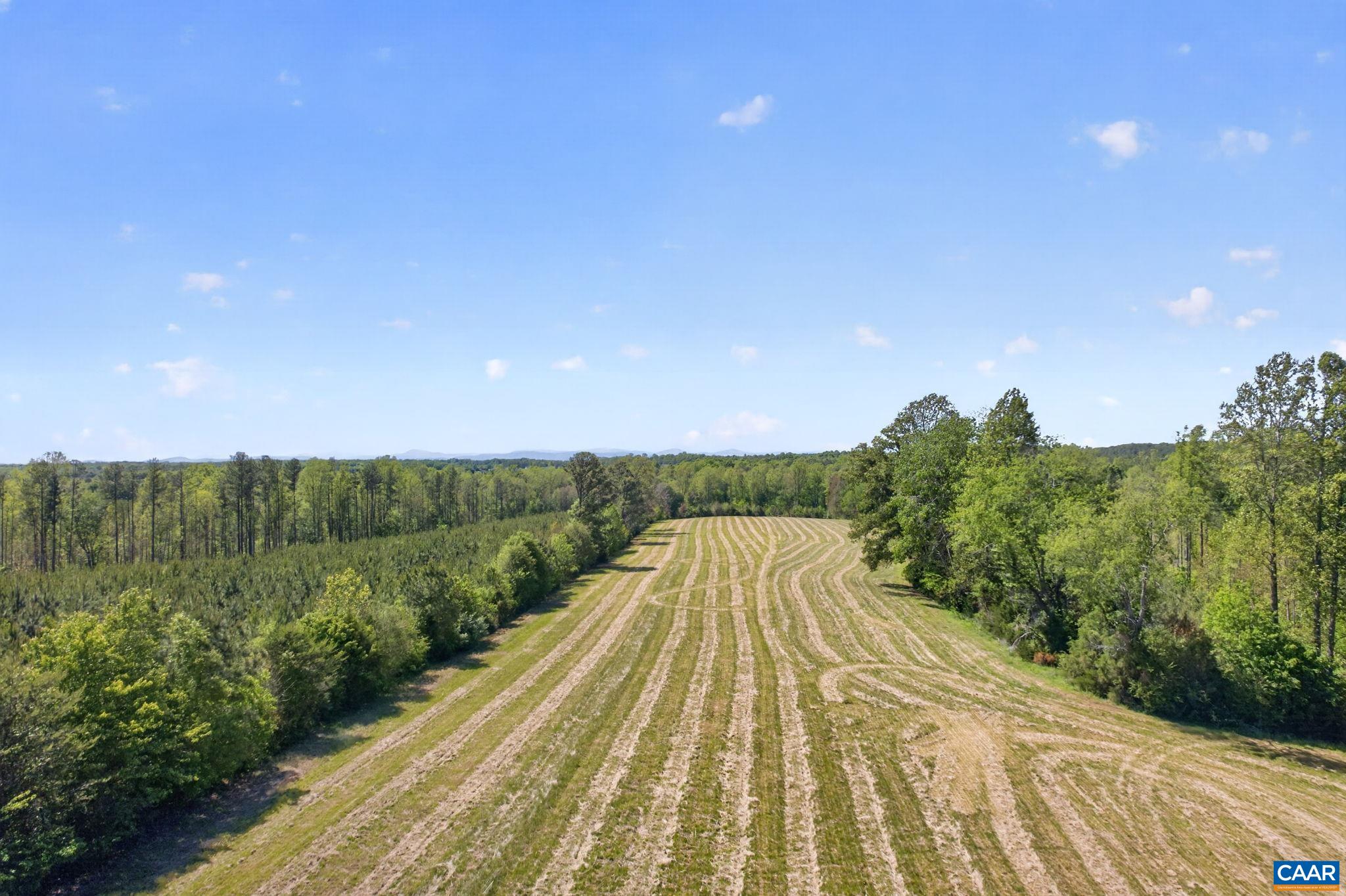 Lot 5 SHORES RD
