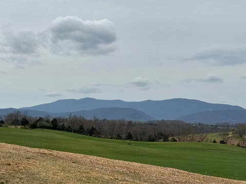 Photo for 3720 MORRIS MILL RD