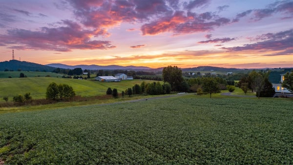 19 ESTATE LN, STAUNTON, VA 24401 - Image a2ff34ad0260eeadc11d3126de15f3bf/3370797247