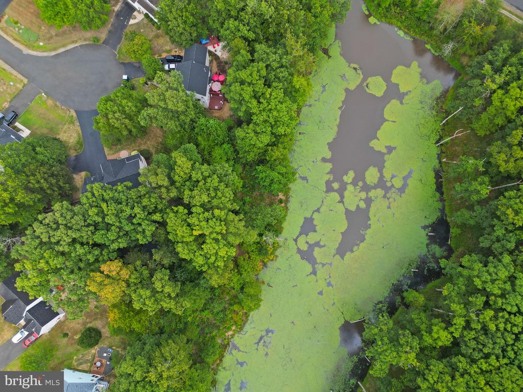 Fredericksburg, Virginia 22408, United States, 5 Bedrooms Bedrooms, ,3 BathroomsBathrooms,Residential,Pending,204287