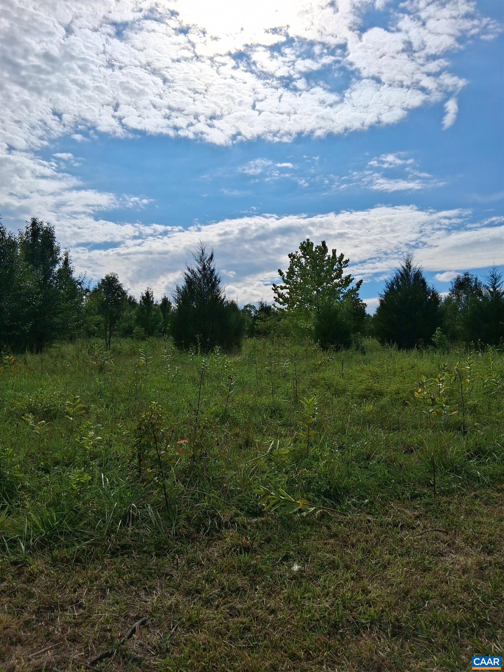 Lot 4 RIDGE RD
