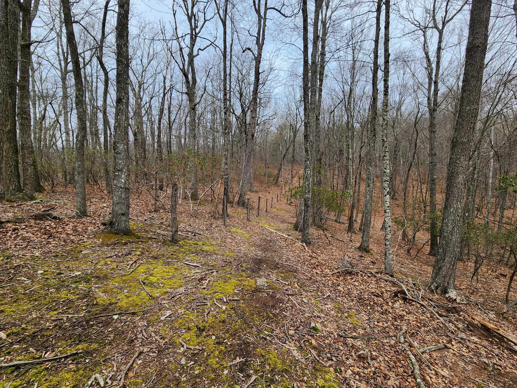TBD JACK MOUNTAIN RD