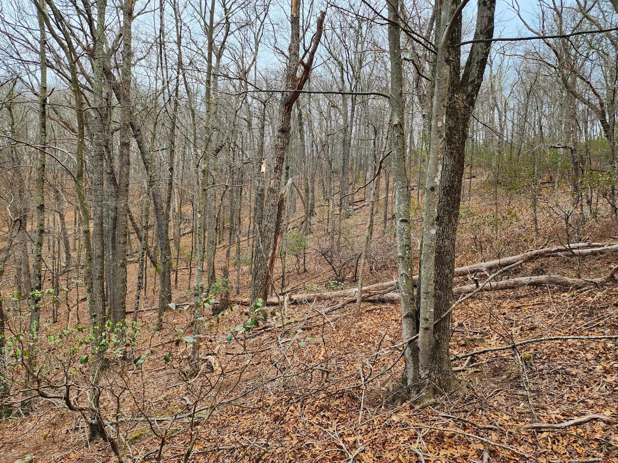 TBD JACK MOUNTAIN RD