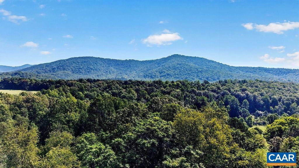 796 OLD ROBERTS MOUNTAIN RD