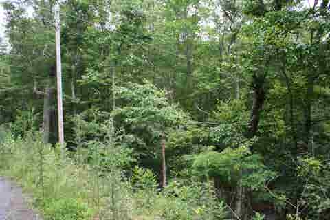 Photo for 41 HIGH VALLEY DR S
