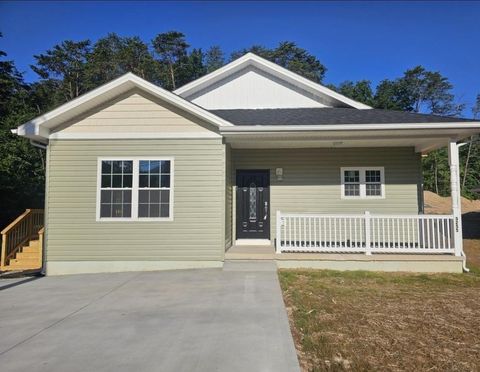 Photo of 3255 Catalpa Ave, Buena Vista, VA 24416 (MLS # 669889)